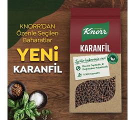 Knorr Clove Buds (Karanfil) 15Gr