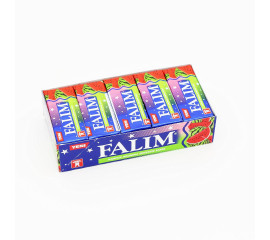 Dandy Falim Watermelon Gum 100Pcs