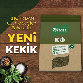 Knorr Oregano (Kekik) 55Gr