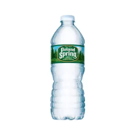 Poland Spring Natural Spring Water 500Ml